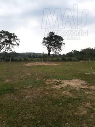Imagem Terreno à Venda, em Lombas - Santo Antônio Da Patrulha Imagem Terreno à Venda, em Lombas - Santo Antônio Da Patrulha