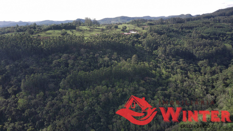 Imagem Chácara à Venda, 70 m² em Morro Grande - Linha Nova Imagem Chácara à Venda, 70 m² em Morro Grande - Linha Nova