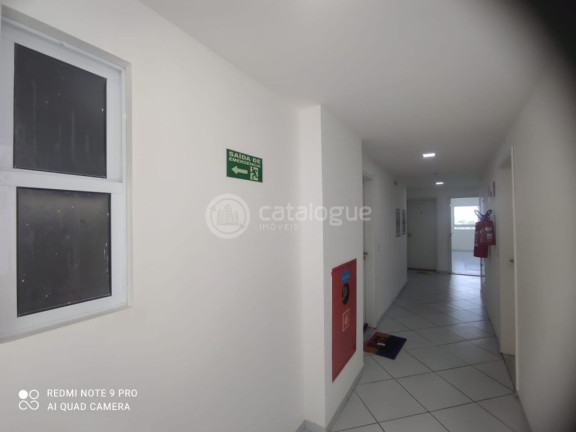 Imagem Apartamento com 2 Quartos à Venda, 49 m² em Vida Nova - Parnamirim Imagem Apartamento com 2 Quartos à Venda, 49 m² em Vida Nova - Parnamirim