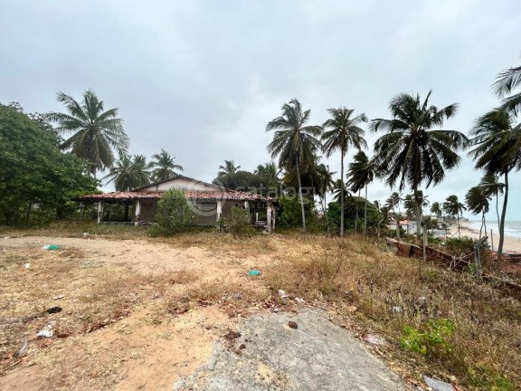 Imagem Terreno à Venda, 3.550 m² em Praia De Caraúbas - Maxaranguape Imagem Terreno à Venda, 3.550 m² em Praia De Caraúbas - Maxaranguape
