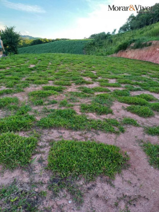 Imagem Chácara com 2 Quartos à Venda, 8.297 m² em São Gabriel - Quitandinha