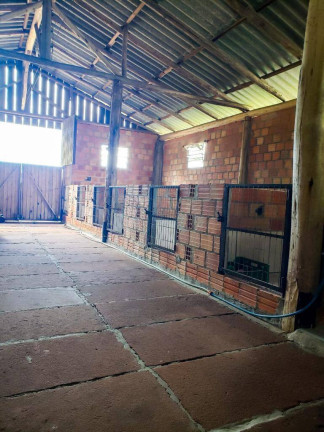 Imagem Chácara com 3 Quartos à Venda, 5.400 m² em Várzea Do Padre - Osório