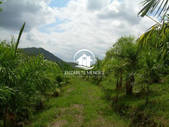 Imagem Terreno à Venda, em Suzano - Suzano Imagem Terreno à Venda, em Suzano - Suzano