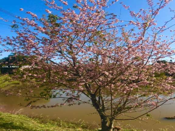 Imagem Terreno à Venda,  em Antes Do Centro - Ibiúna