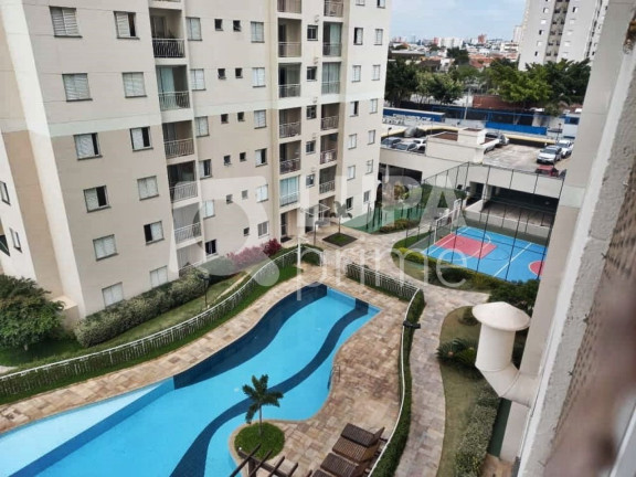 Imagem Apartamento com 3 Quartos à Venda, 63 m² em Vila Guilherme - São Paulo