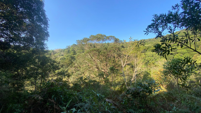 Imagem Terreno à Venda, 172.989 m² em Ressacada - Garopaba Imagem Terreno à Venda, 172.989 m² em Ressacada - Garopaba