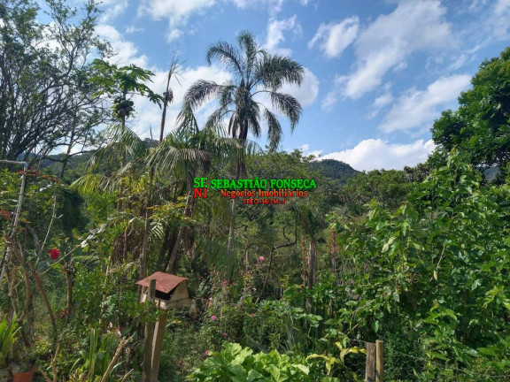 Imagem Chácara com 3 Quartos à Venda, 9.000 m² em São Francisco Xavier - São José Dos Campos