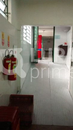 Imagem Imóvel Comercial à Venda, 458 m² em Vila Maria Alta - São Paulo