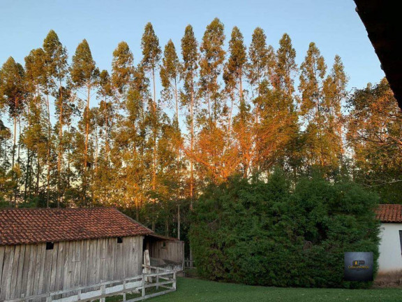 Imagem Imóvel com 5 Quartos à Venda, 72.600 m² em água Funda - Torre De Pedra