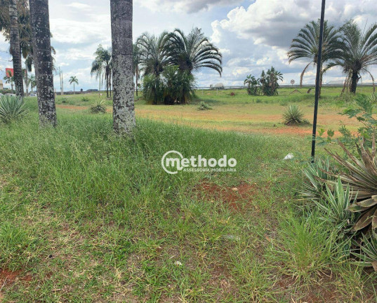 Imagem Terreno à Venda ou Locação, 3.873 m² em Loteamento Center Santa Genebra - Campinas Imagem Terreno à Venda ou Locação, 3.873 m² em Loteamento Center Santa Genebra - Campinas