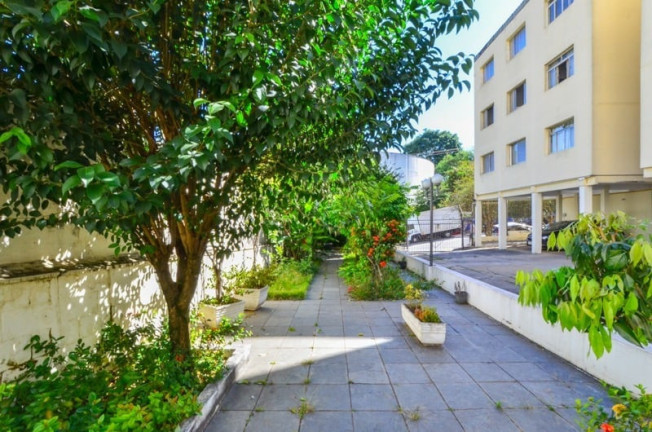 Imagem Apartamento com 2 Quartos à Venda, 65 m² em Vila Mascote - São Paulo Imagem Apartamento com 2 Quartos à Venda, 65 m² em Vila Mascote - São Paulo