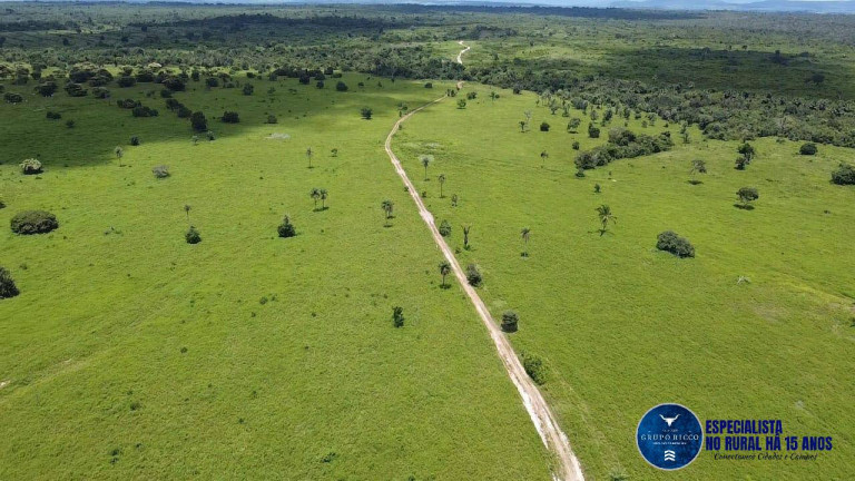Imagem Fazenda à Venda, 456 m² em Zona Rural - Ananás Imagem Fazenda à Venda, 456 m² em Zona Rural - Ananás