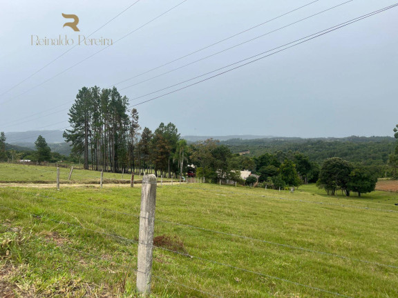 Imagem Chácara com 2 Quartos à Venda, 32.000 m² em Fazenda Fialho - Taquara