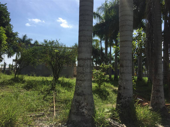 Imagem Chácara à Venda, 120 m² em . - Juquia Imagem Chácara à Venda, 120 m² em . - Juquia