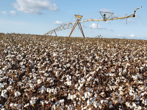 Imagem Fazenda à Venda, 2.178 m² em Rural - Itaí Imagem Fazenda à Venda, 2.178 m² em Rural - Itaí
