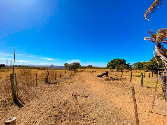 Imagem Fazenda à Venda, 500.000 m² em Zona Rural - Luziânia Imagem Fazenda à Venda, 500.000 m² em Zona Rural - Luziânia