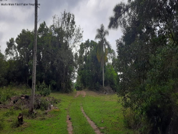 Imagem Terreno à Venda, 1 m² em Fazenda Pirajá - Nova Petrópolis Imagem Terreno à Venda, 1 m² em Fazenda Pirajá - Nova Petrópolis