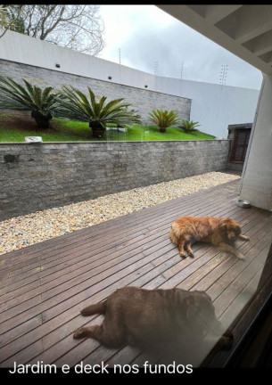 Imagem Casa à Venda, 310 m² em Pedra Branca - Palhoça Imagem Casa à Venda, 310 m² em Pedra Branca - Palhoça