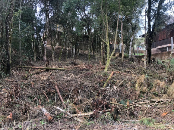 Terreno à Venda, 422 m² em Mato Queimado - Gramado