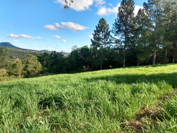 Imagem Terreno à Venda, 1.750 m² em Portal Das Colinas - Bofete Imagem Terreno à Venda, 1.750 m² em Portal Das Colinas - Bofete