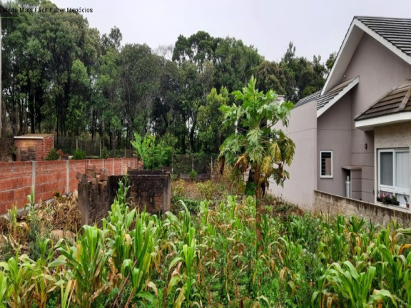 Terreno à Venda, 448 m² em Pousada Da Neve - Nova Petrópolis