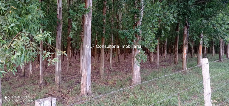Imagem Terreno à Venda, em Cardeal - Elias Fausto Imagem Terreno à Venda, em Cardeal - Elias Fausto