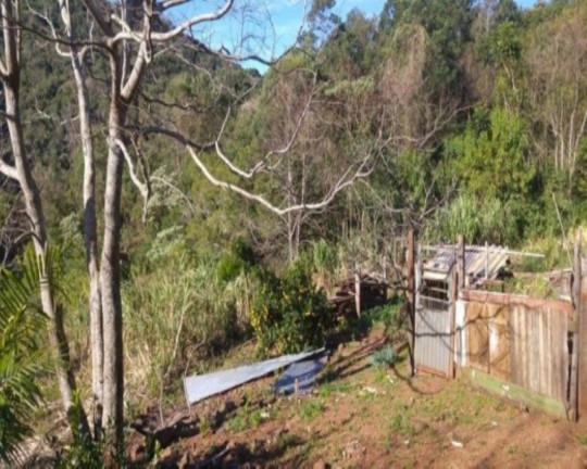 Imagem Imóvel com 3 Quartos à Venda, 65 m² em Fazenda Pirajá - Nova Petrópolis