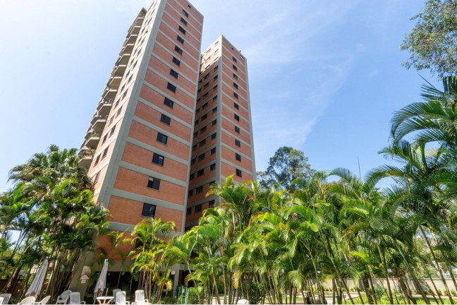 Imagem Apartamento com 3 Quartos à Venda, 82 m² em Paraíso Do Morumbi - São Paulo Imagem Apartamento com 3 Quartos à Venda, 82 m² em Paraíso Do Morumbi - São Paulo