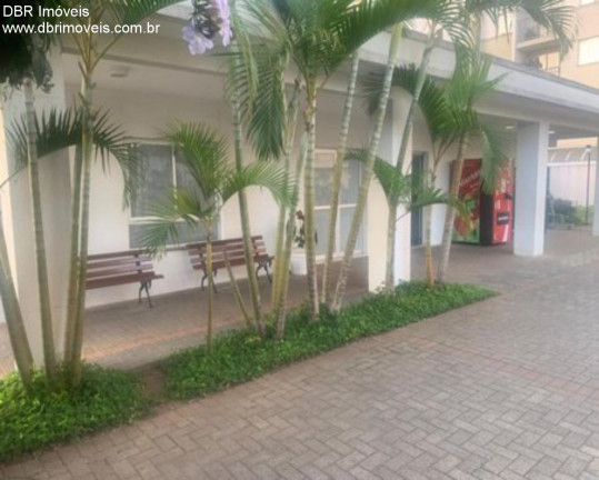 Imagem Apartamento com 2 Quartos à Venda, 50 m² em Tatuapé - São Paulo Imagem Apartamento com 2 Quartos à Venda, 50 m² em Tatuapé - São Paulo