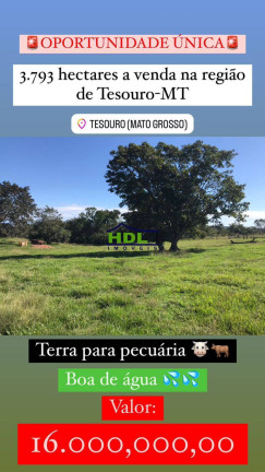 Imagem Fazenda à Venda, em Zona Rural - Tesouro Imagem Fazenda à Venda, em Zona Rural - Tesouro