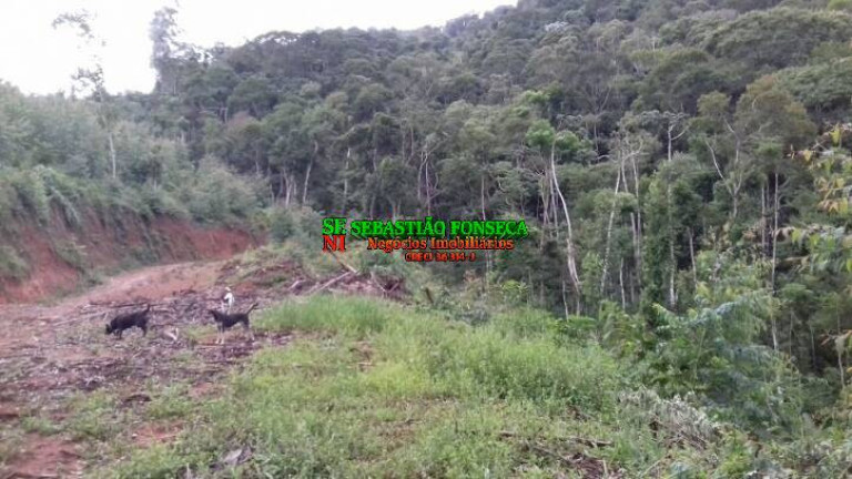 Chácara à Venda, 30.000 m² em Centro - Monteiro Lobato