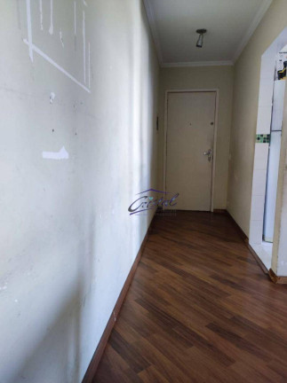 Imagem Apartamento com 2 Quartos à Venda, 59 m² em Butantã - São Paulo