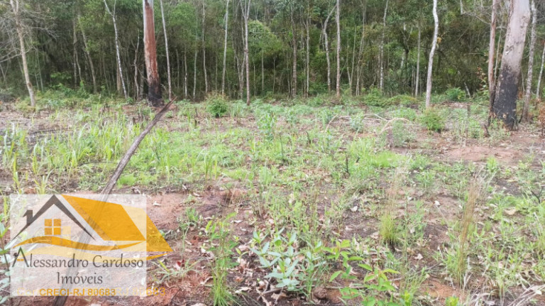 Terreno à Venda, 18.000 m² em Campo Do Coelho - Nova Friburgo