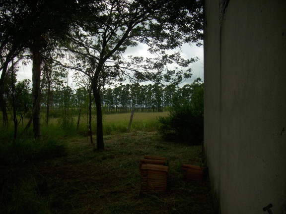 Imagem Chácara com 1 Quarto à Venda, 1.000 m² em Estância Irene - Porangaba