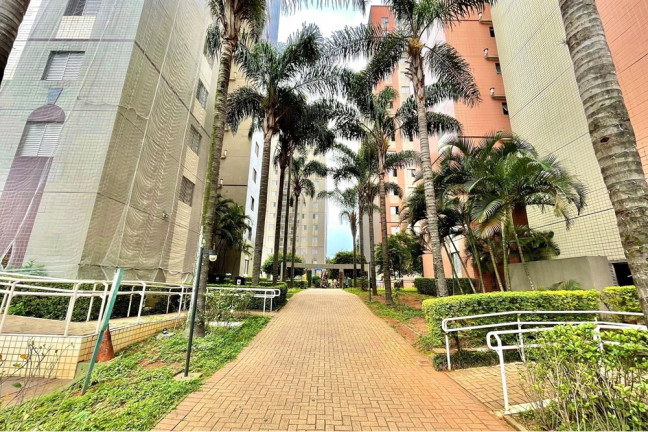 Imagem Imóvel com 3 Quartos à Venda, 61 m² em Cambuci - São Paulo