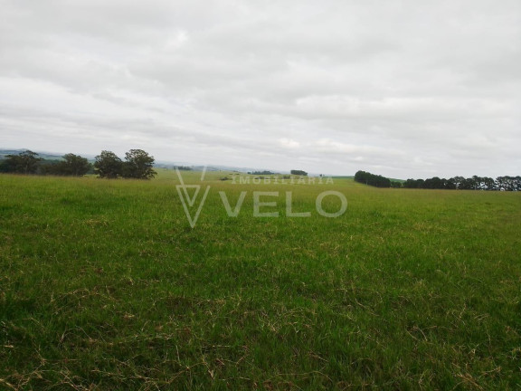 Imóvel à Venda, 6.897.000 m² em Riversul - Riversul