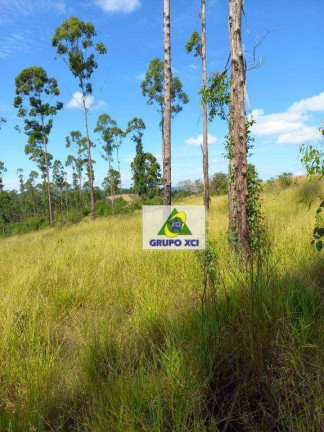 Imagem Fazenda à Venda, 2.560.000 m² em Zona Rural - São Tiago Imagem Fazenda à Venda, 2.560.000 m² em Zona Rural - São Tiago