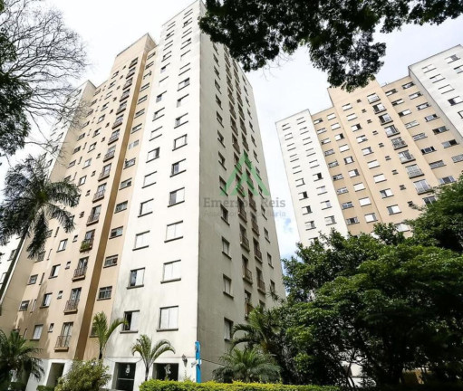 Imagem Apartamento com 2 Quartos à Venda, 56 m² em Vila Andrade - São Paulo