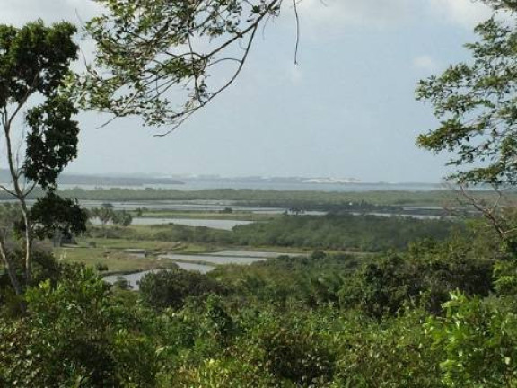 Imagem Terreno à Venda, 35 m² em Piau - Tibau Do Sul