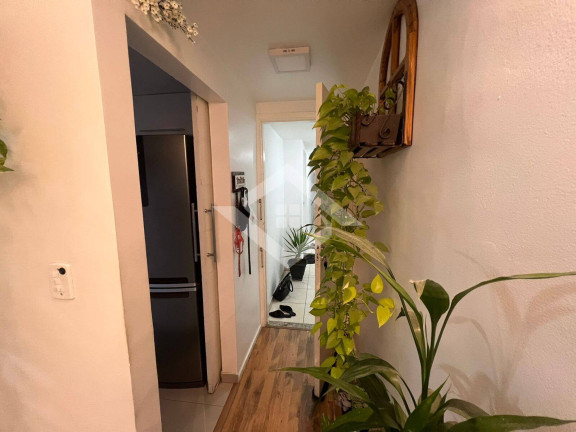 Imagem Apartamento com 2 Quartos à Venda, 55 m² em Campo Grande - Rio De Janeiro