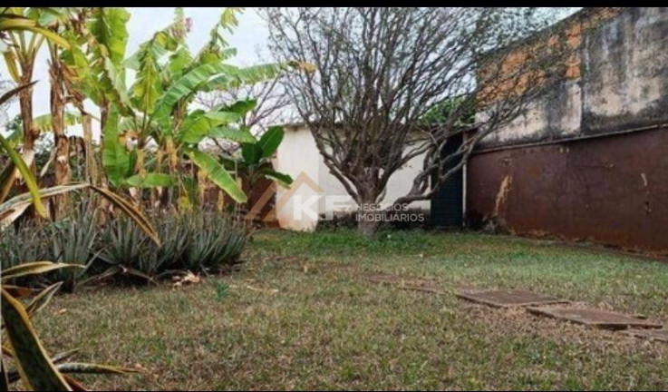 Imagem Casa com 3 Quartos à Venda, 275 m² em Campos Elíseos - Ribeirão Preto Imagem Casa com 3 Quartos à Venda, 275 m² em Campos Elíseos - Ribeirão Preto