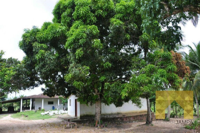 Imagem Chácara com 3 Quartos à Venda, 100 m² em Conde - Conde Imagem Chácara com 3 Quartos à Venda, 100 m² em Conde - Conde