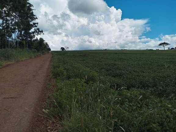 Chácara à Venda, 48 m² em Arapongas