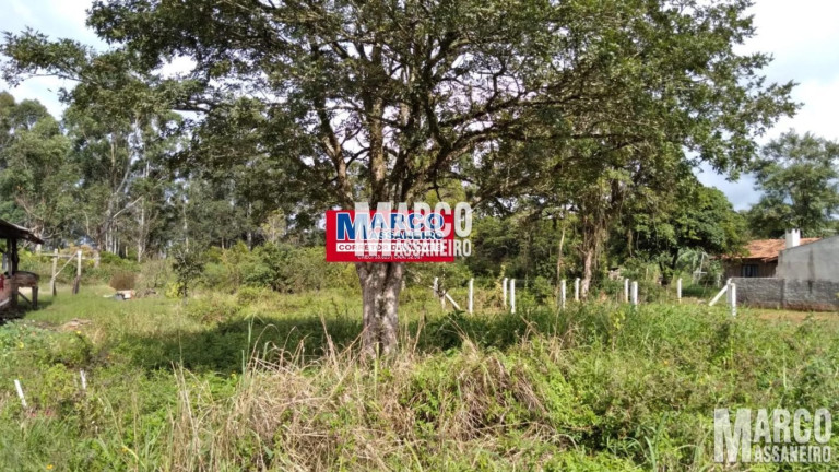 Imagem Terreno à Venda, 305 m² em Costeira - Balneário Barra Do Sul Imagem Terreno à Venda, 305 m² em Costeira - Balneário Barra Do Sul