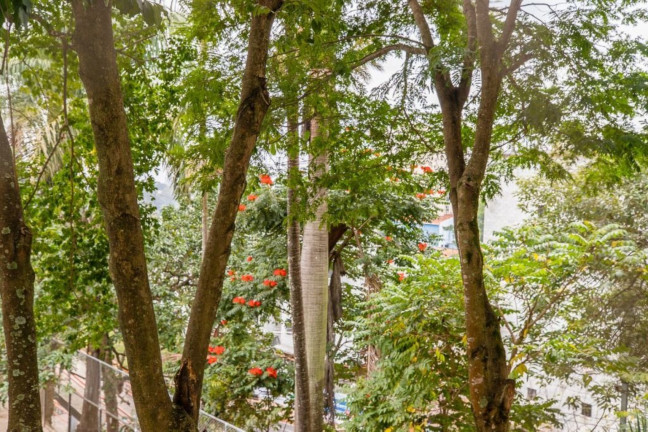 Imagem Imóvel com 3 Quartos à Venda, 55 m² em Morumbi - São Paulo Imagem Imóvel com 3 Quartos à Venda, 55 m² em Morumbi - São Paulo