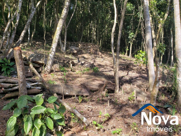 Imagem Imóvel à Venda, 6.862 m² em Vila Olinda - Nova Petrópolis