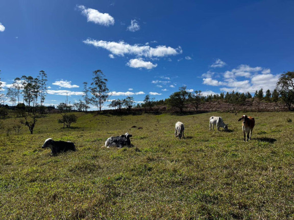 Terreno à Venda,  em Pilar Do Sul