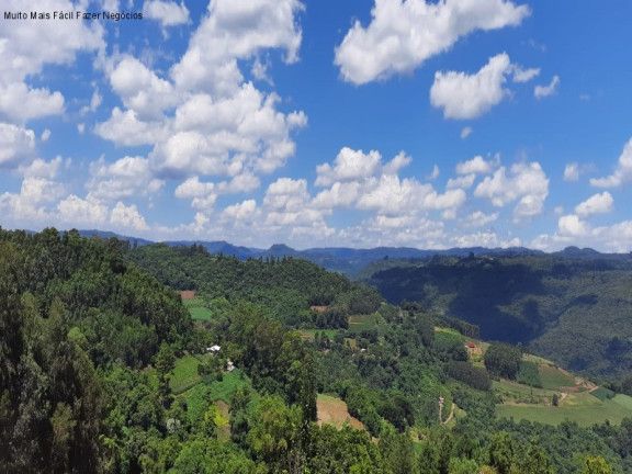 Imagem Casa com 2 Quartos à Venda, 70 m² em Pinhal Alto - Nova Petrópolis