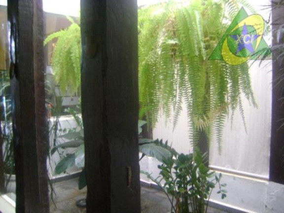 Imagem Casa com 5 Quartos à Venda, 600 m² em Parque Taquaral - Campinas Imagem Casa com 5 Quartos à Venda, 600 m² em Parque Taquaral - Campinas