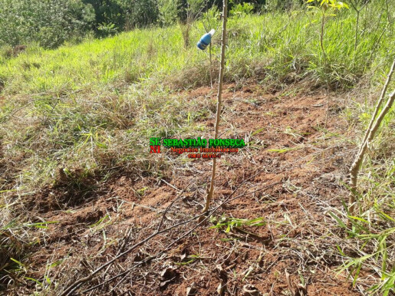 Chácara à Venda, 750 m² em Sob. Consulta - Paraibuna